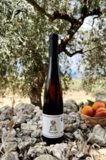 Hidromiel melomel albaricoque - Aubercoc Mandragora