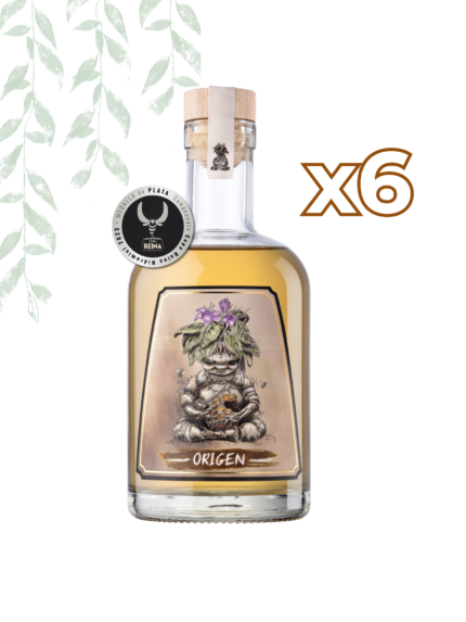ORIGEN XIII - Hidromiel Semidulce x6uds