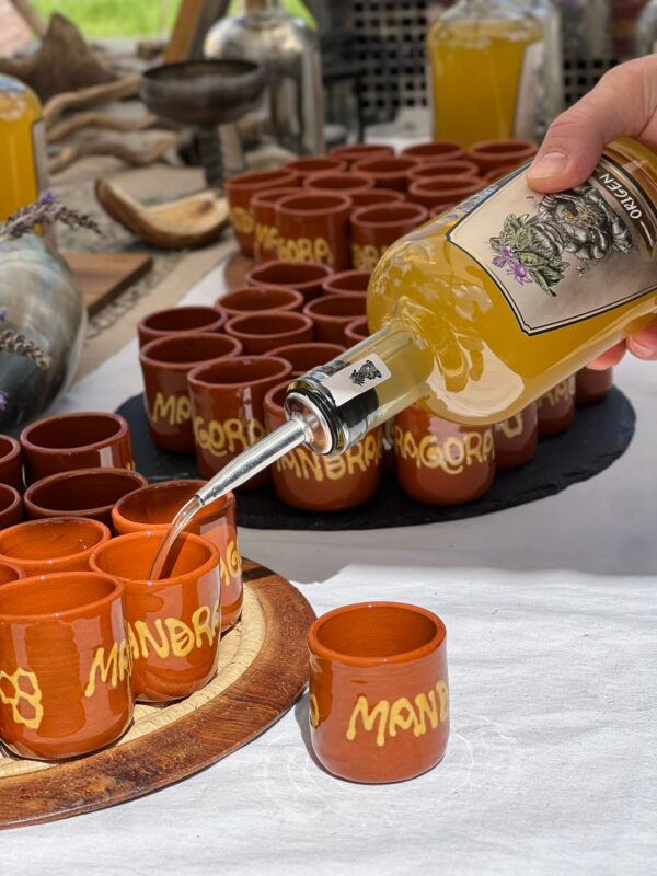 WhatsApp Image 2026 04 07 at 14 02 28