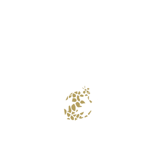 Icono blanco y dorado - Mandragora Hidromel